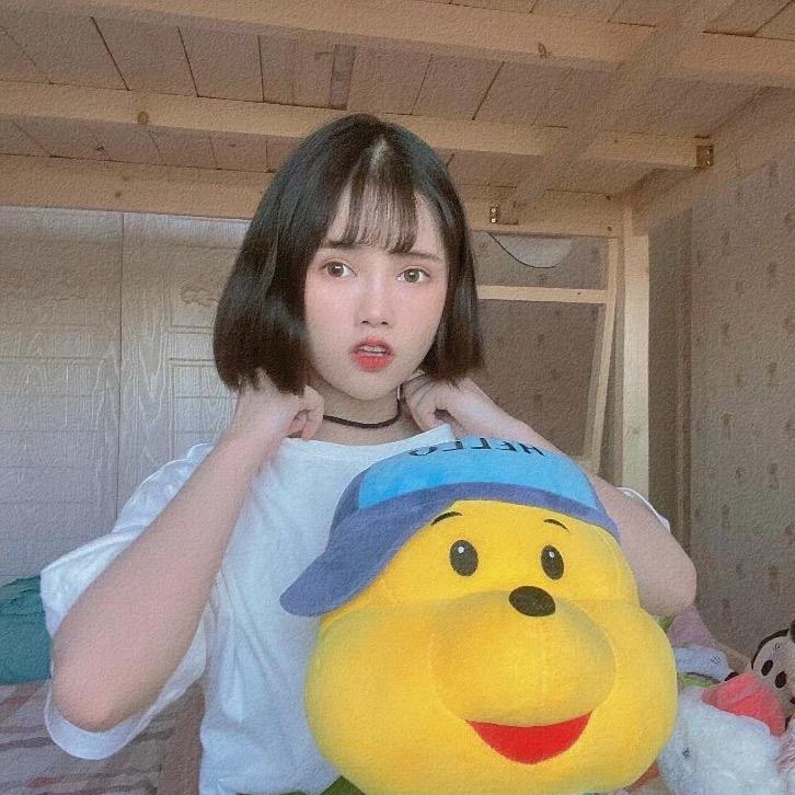 皮久莱以象