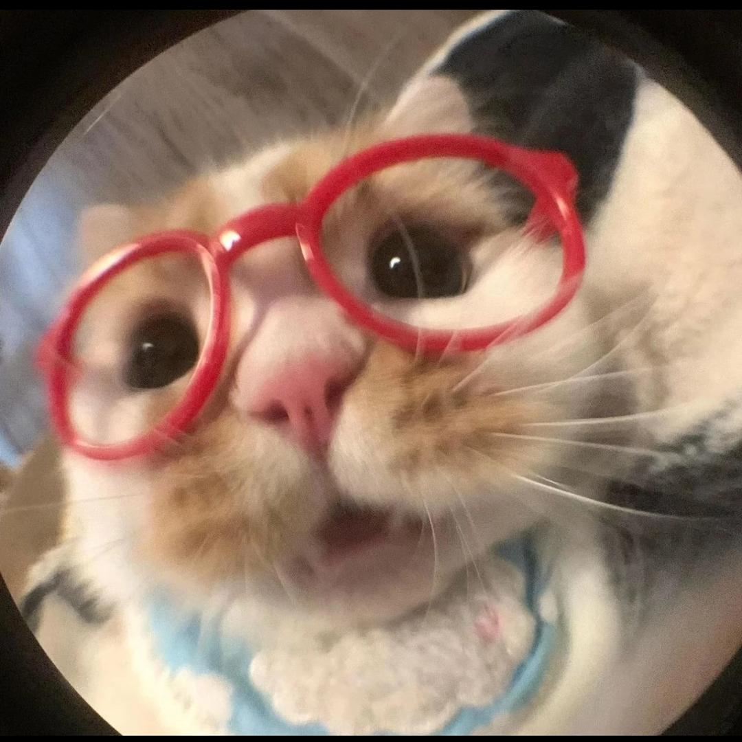 大表哥家的小肥婆