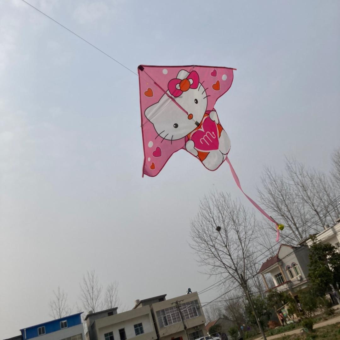想飞的鸟儿14