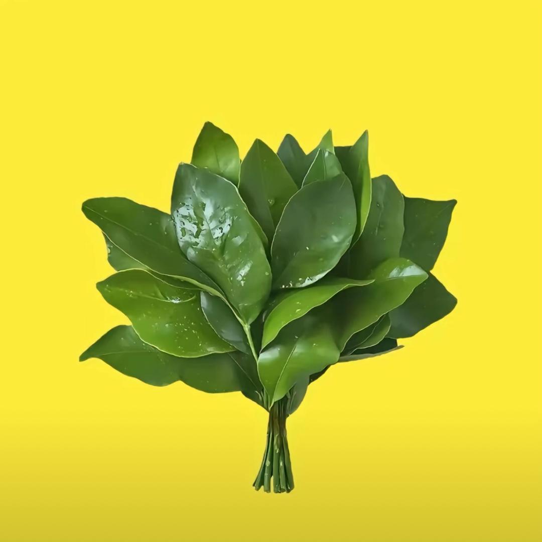 十一楼