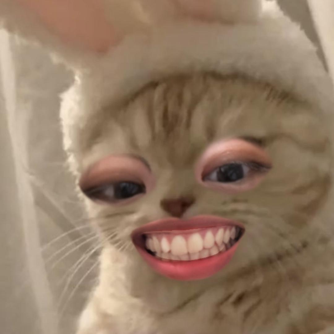 美美PP小天蝎