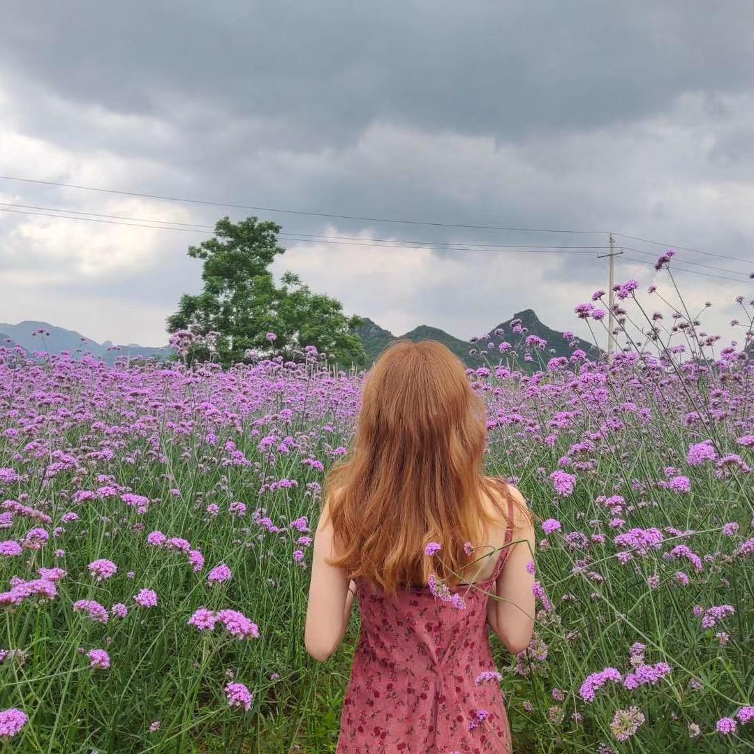 瘦肉花