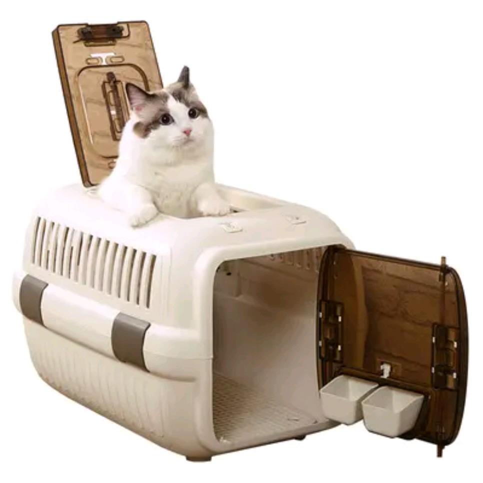 可爱猫多少钱一只