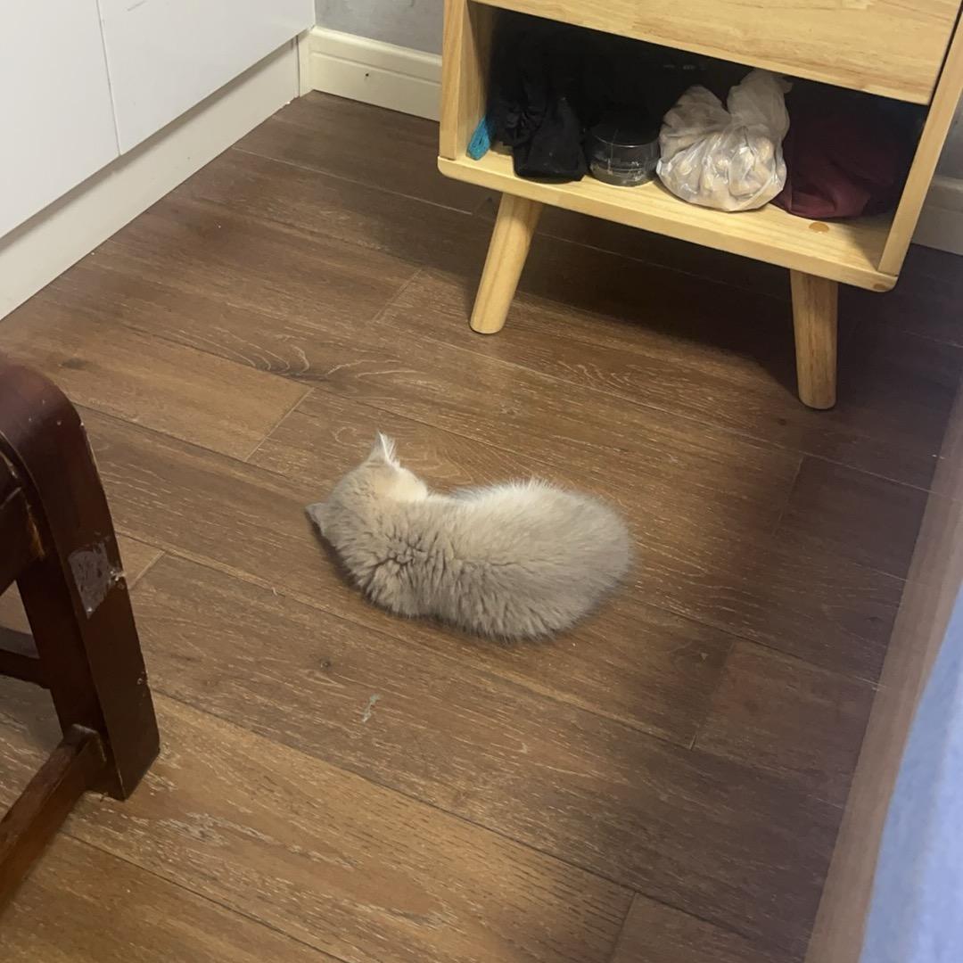 小拿铁