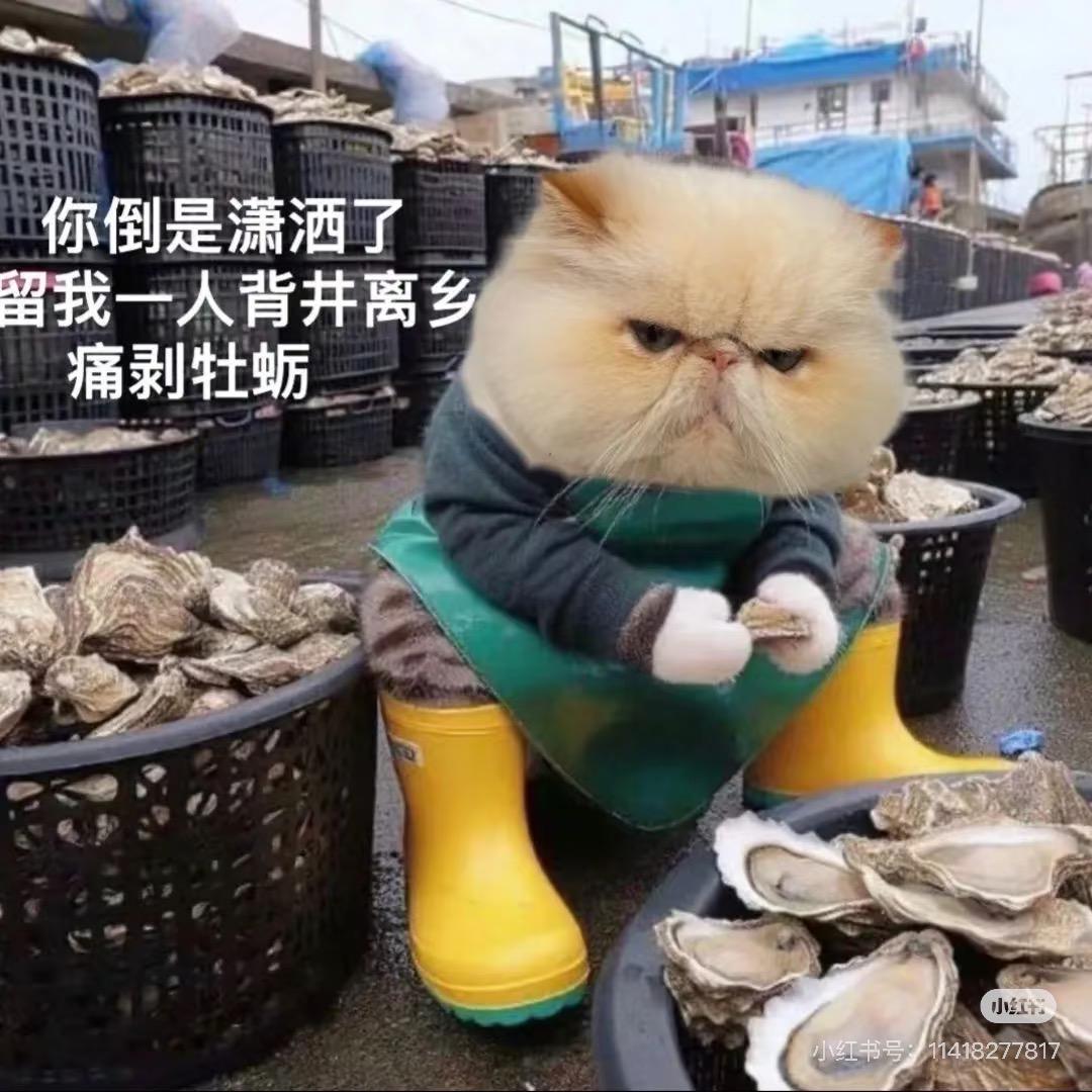 阳光的杰杰📷📷