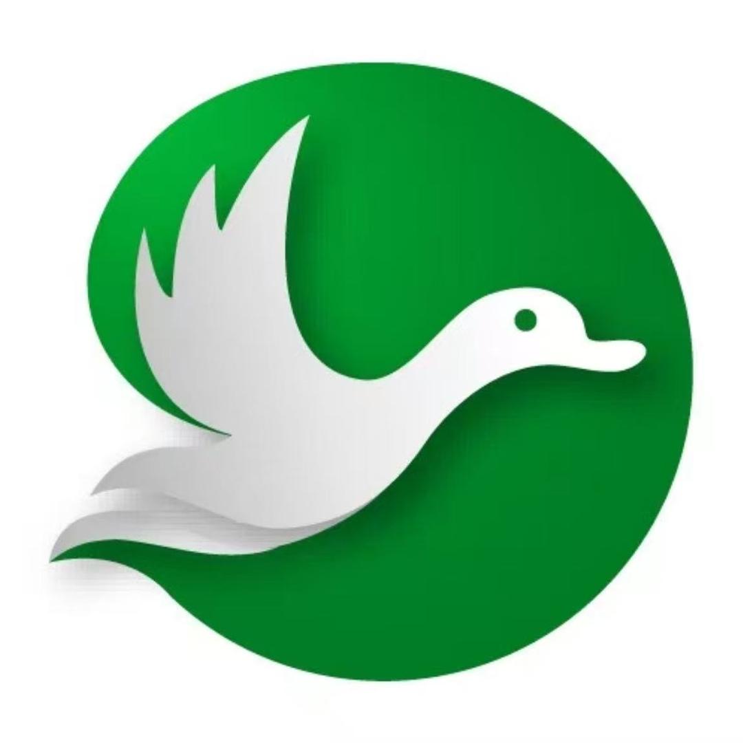 海鸭婶散养海鸭养殖基地