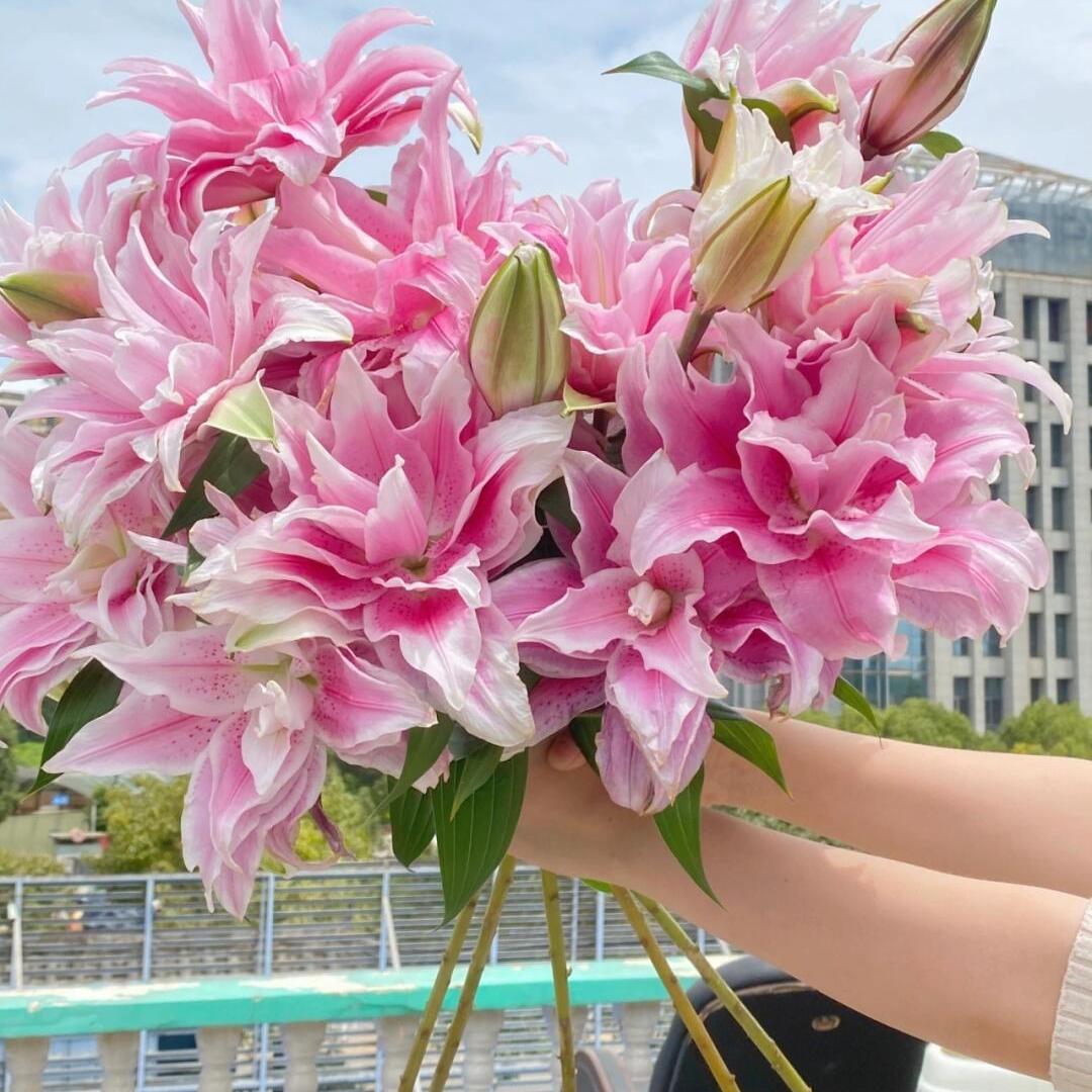 听雨闻香小花铺