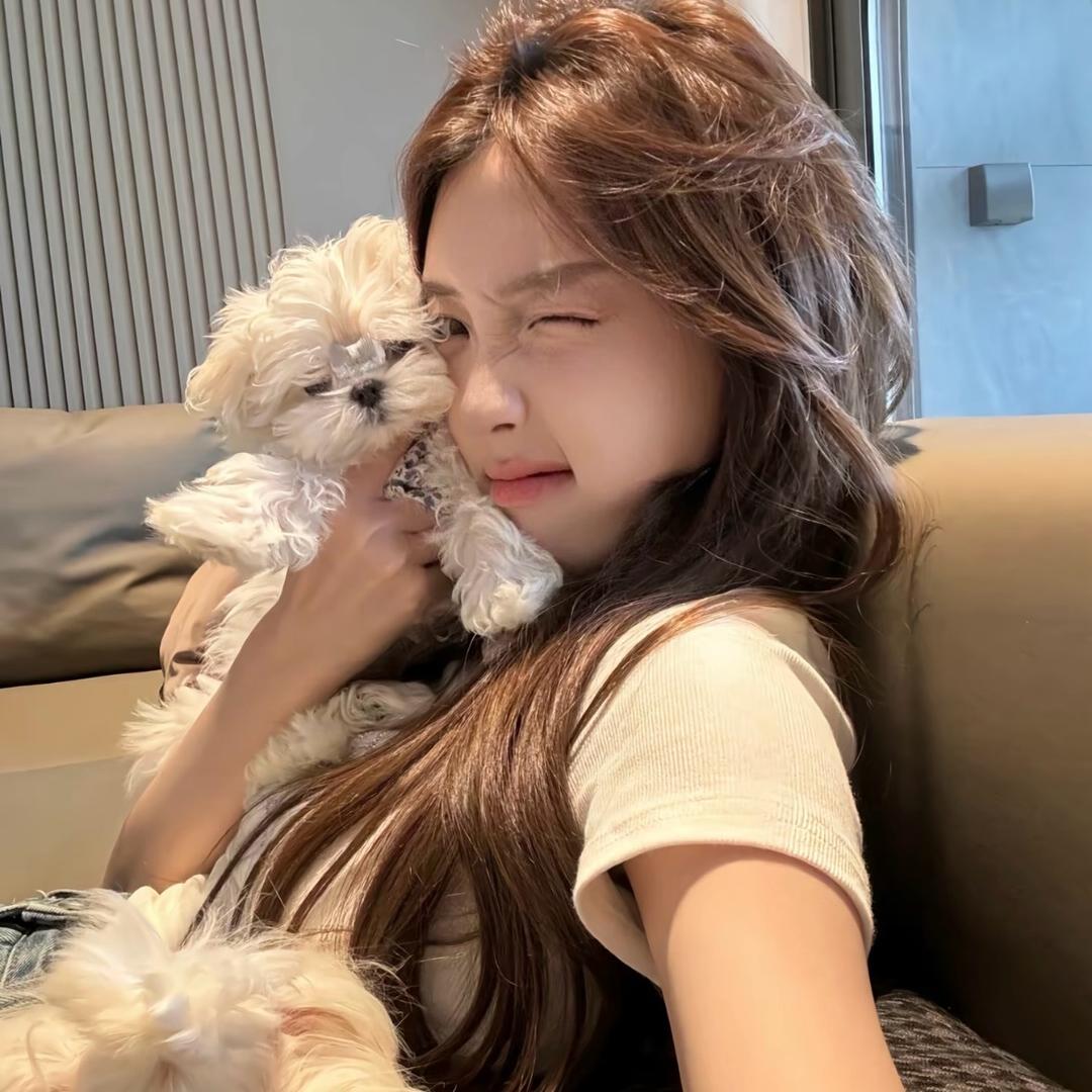 💤💤呼噜