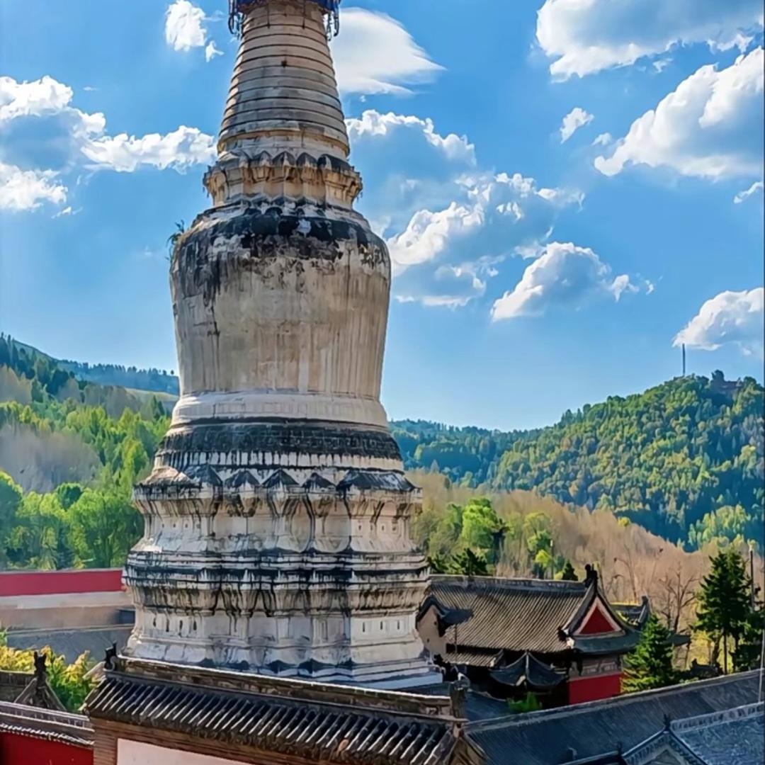 五台山凡圣~咨询服务