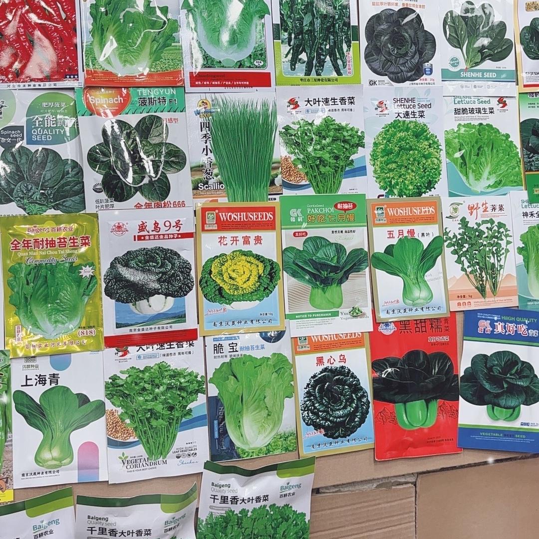 游心园艺