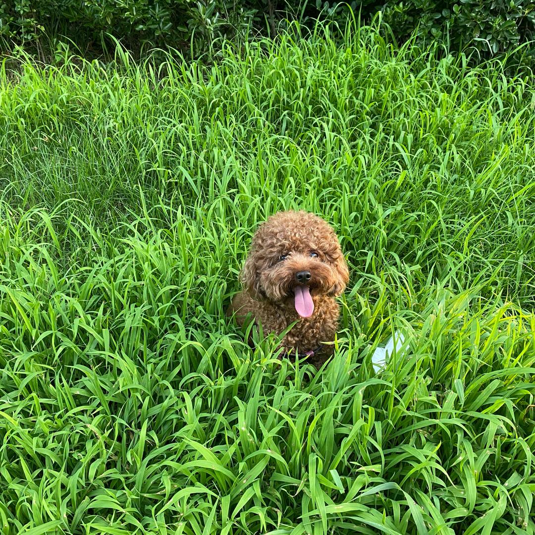 同工，恩惠