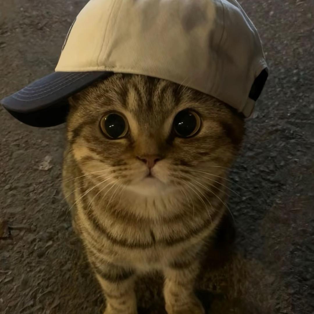 悲伤的小liu同学💩