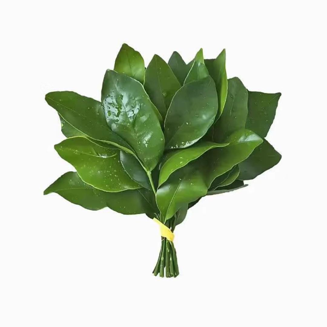 小怡子 （美妆版）