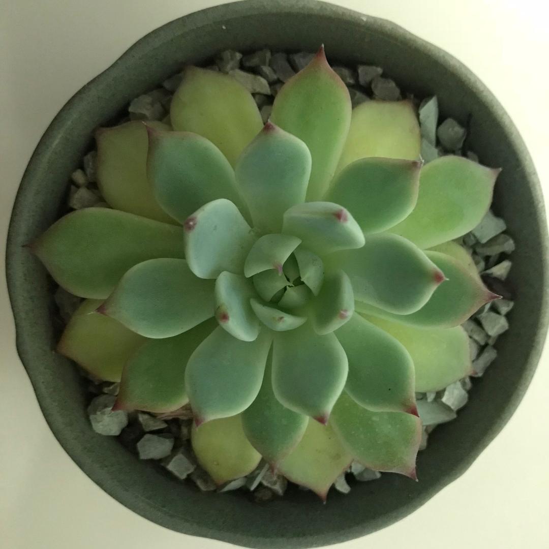 ☞静待花开