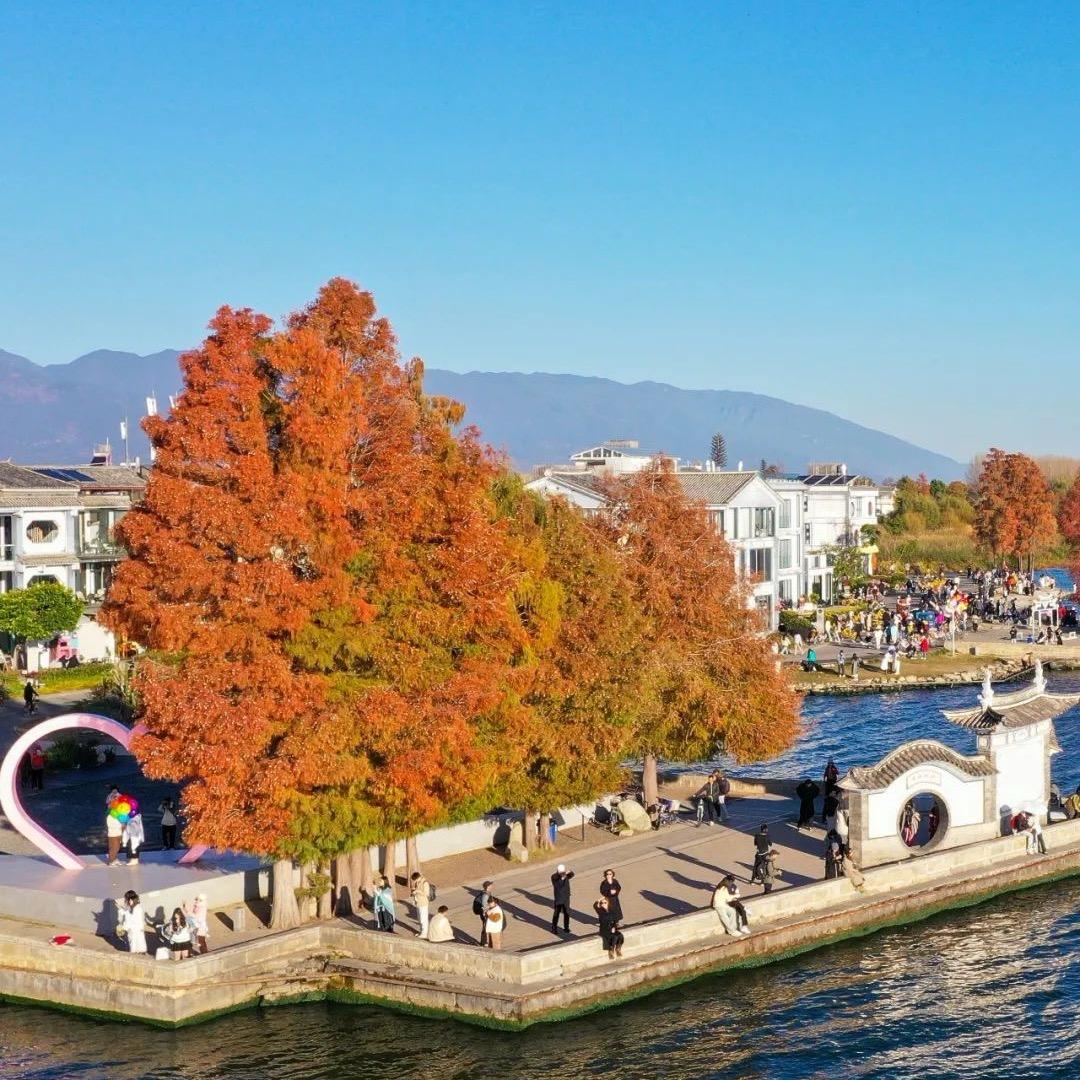 习惯了丶你的习惯