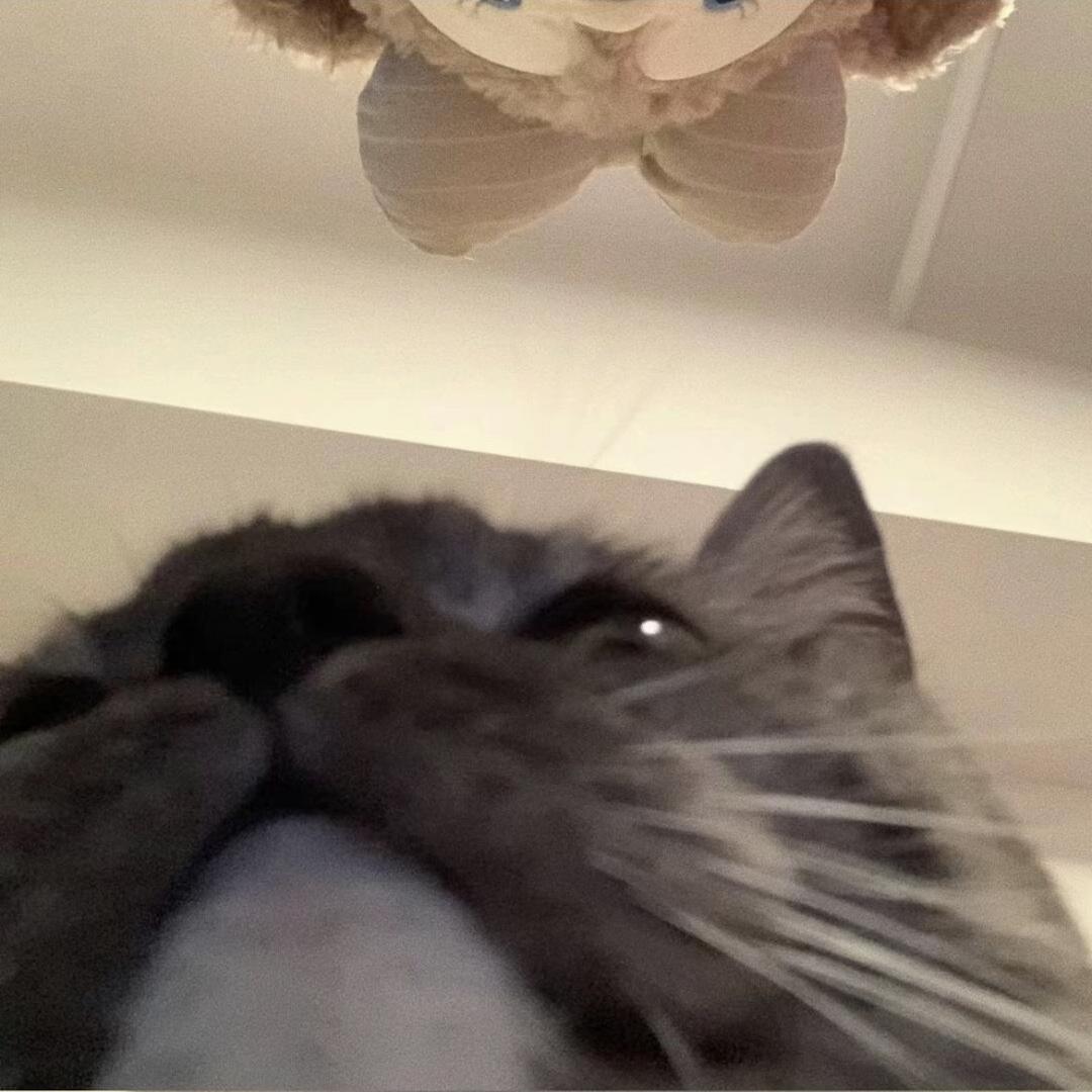 捻