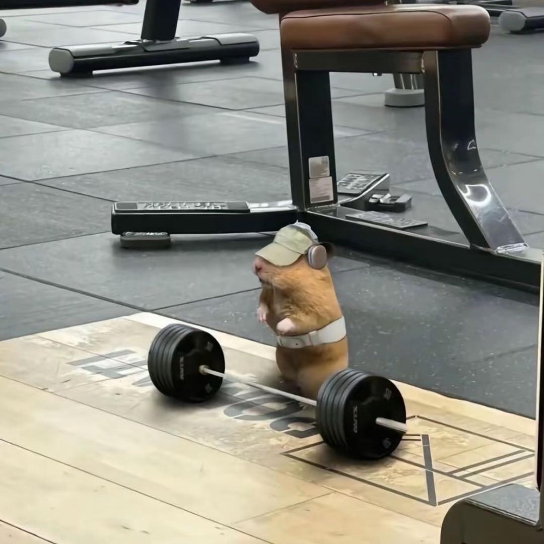 去码头整点薯条・ࡇ・