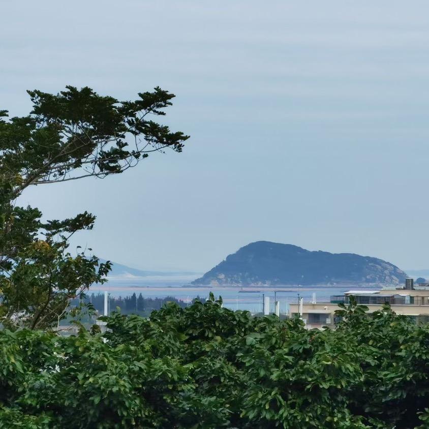 陈
