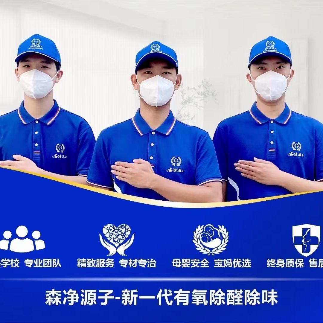栽木环保-潮汕三市上门除甲醛 汽车除味