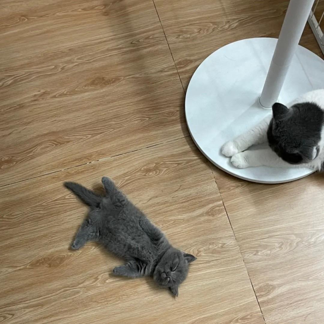 捡贝壳