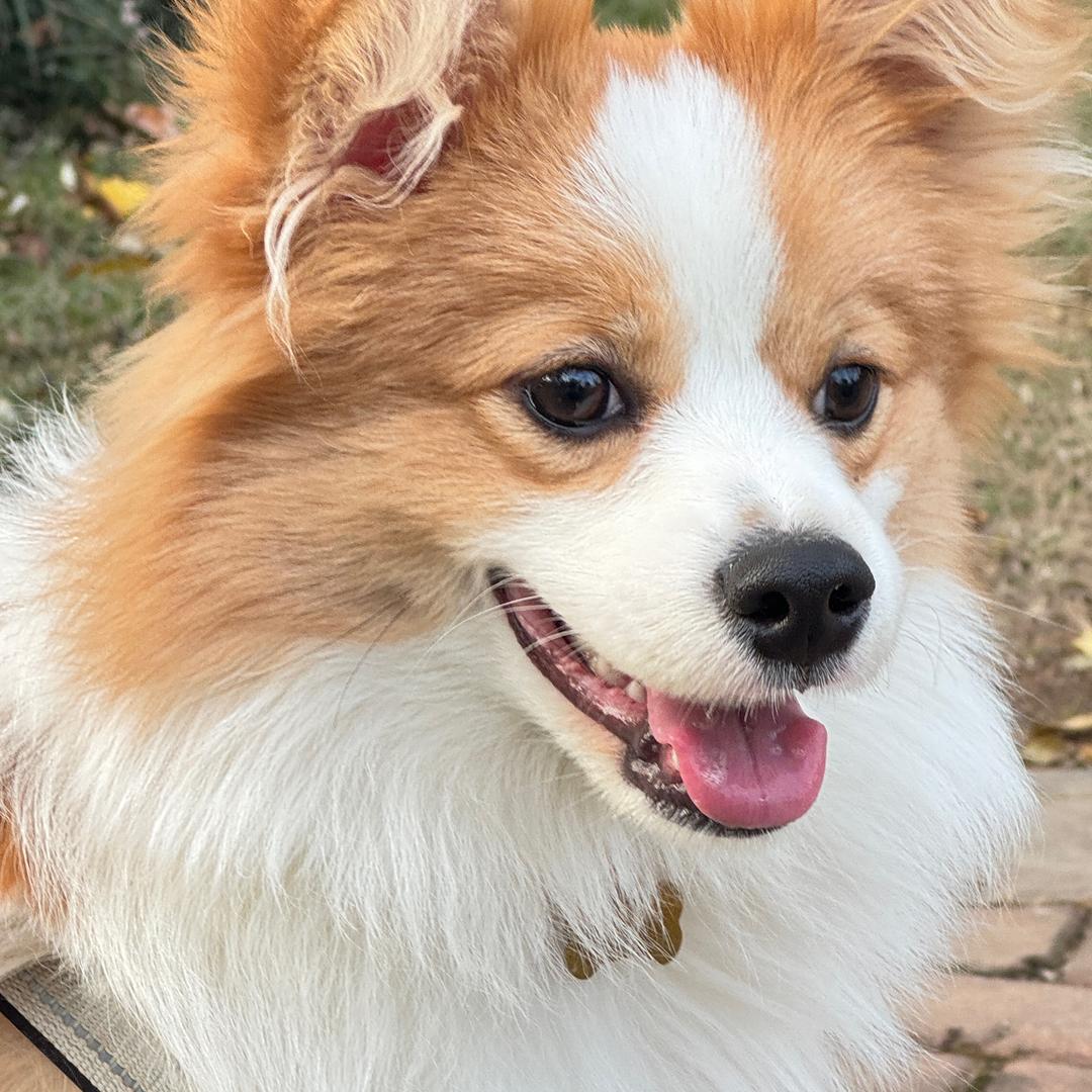 陶喆的不知名粉