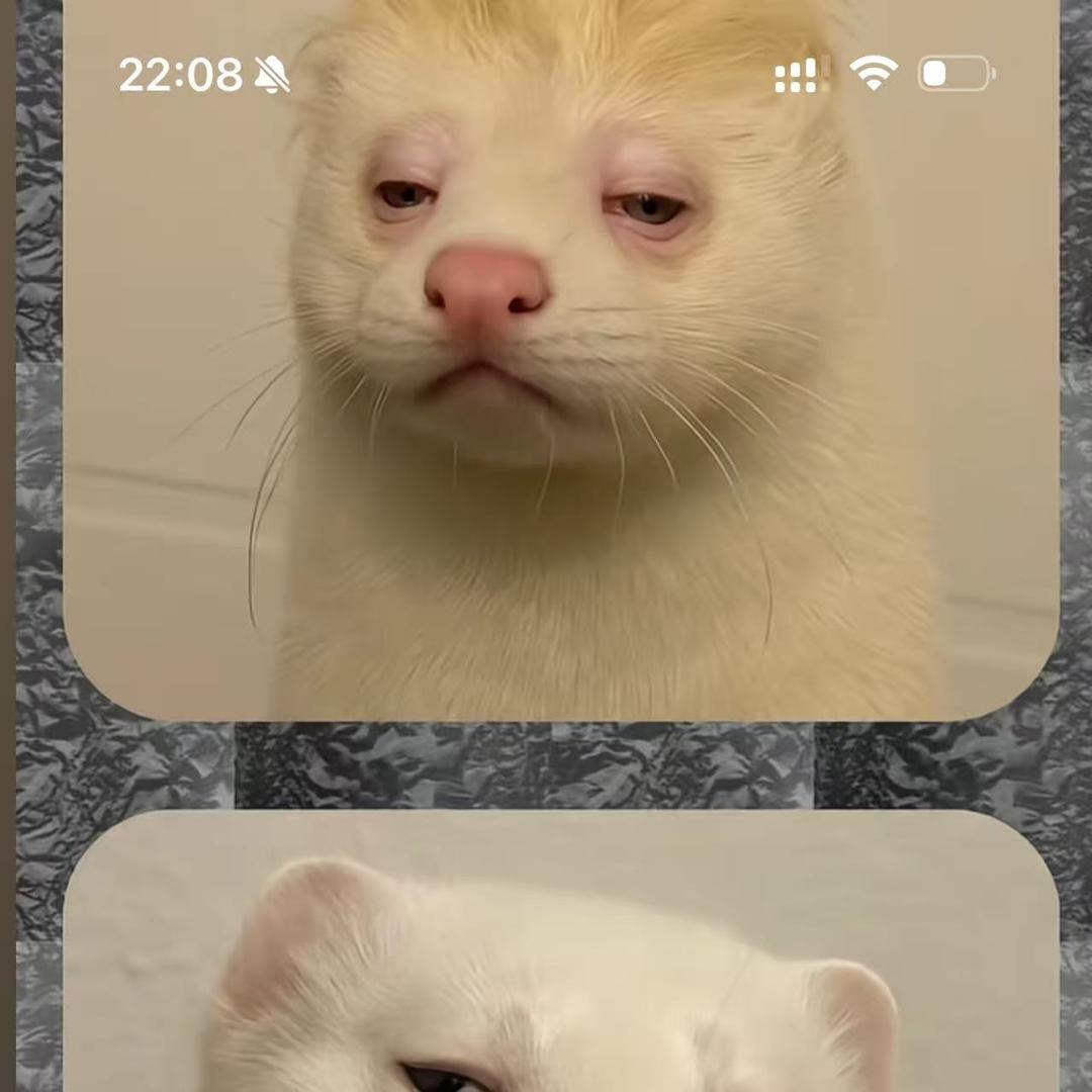 你好漂亮原创饰品