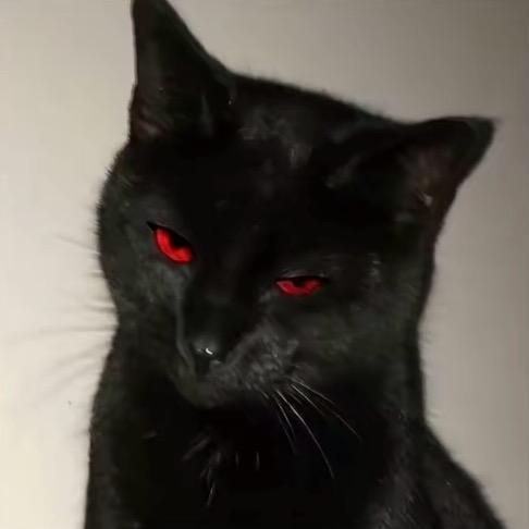 北     ㅤ