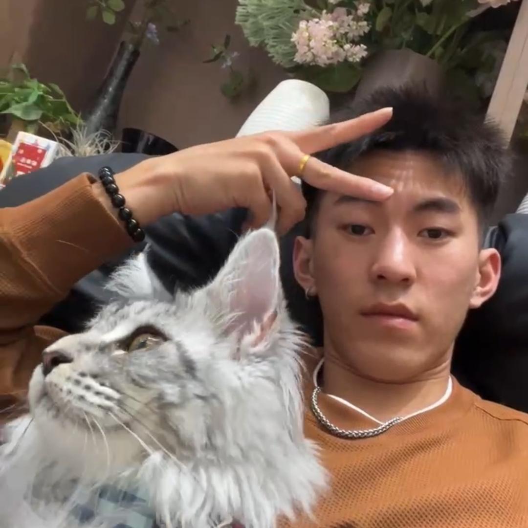 伟业爱养猫（猫咪优选，评鉴）