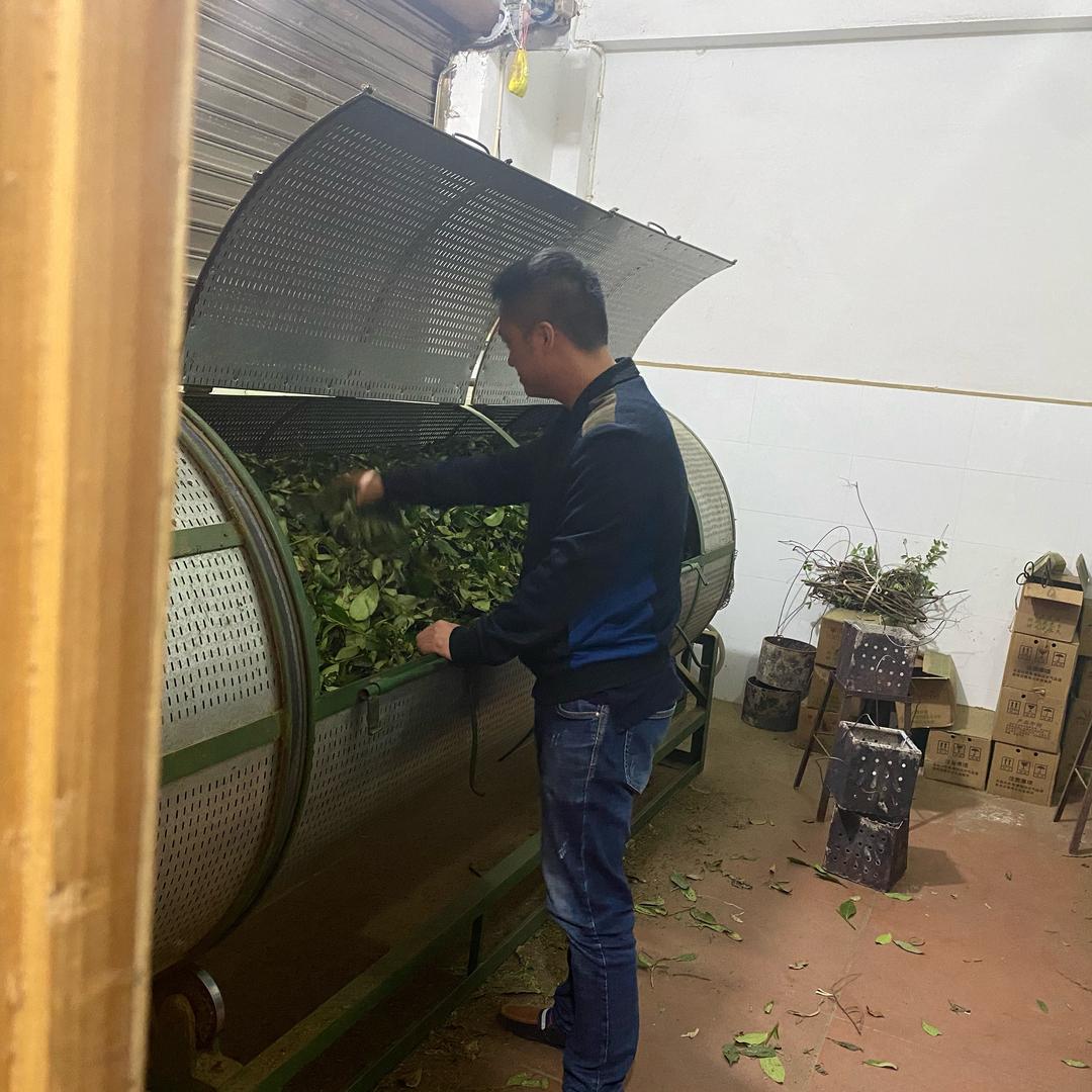 武夷岩茶-静卓
