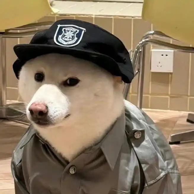 保安~阿狗