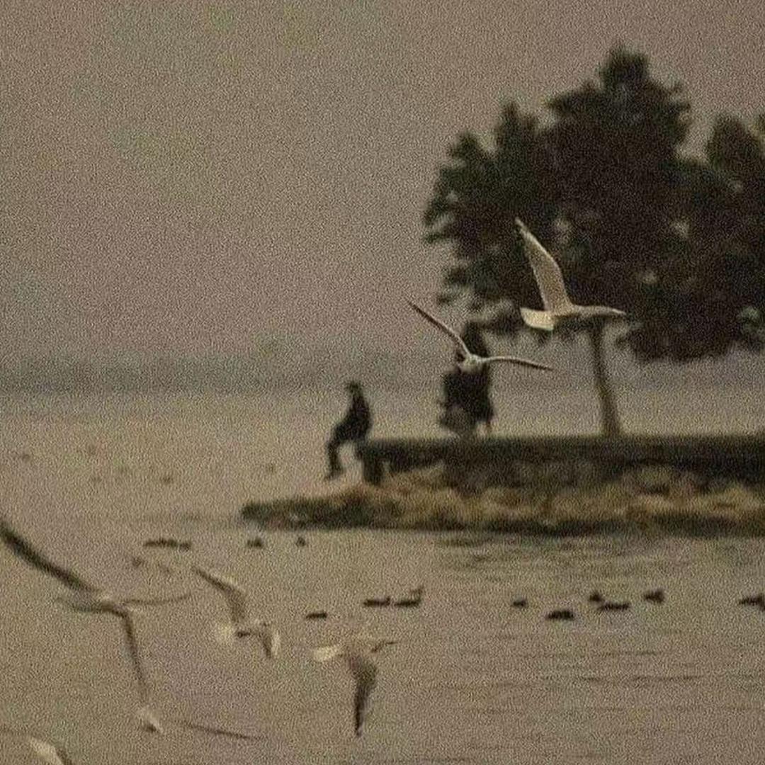喜剧