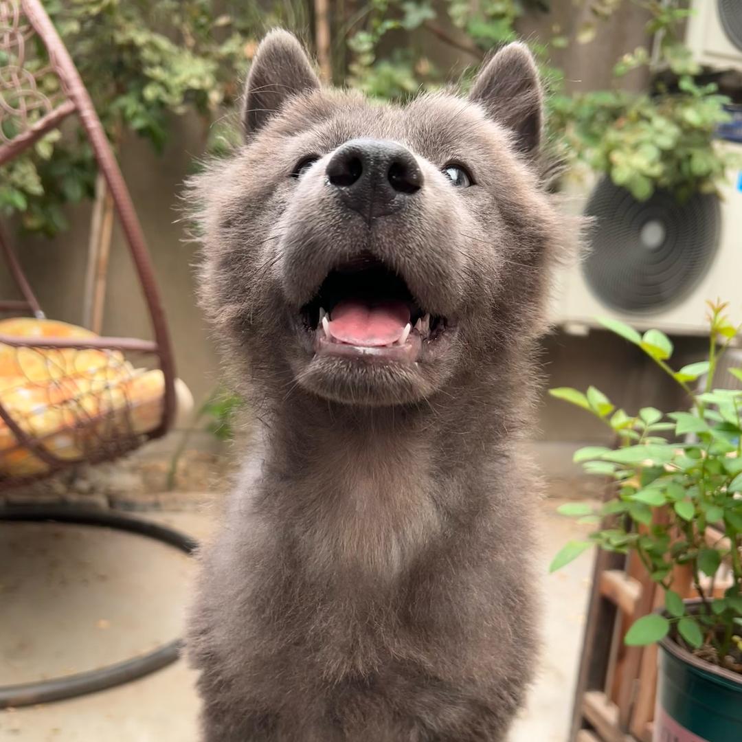 大多小贵