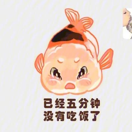 果果的小兰寿