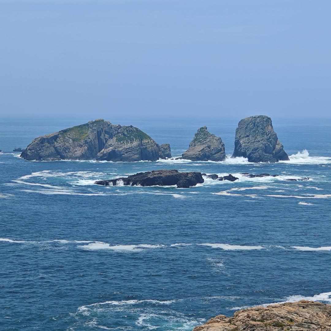 小别野