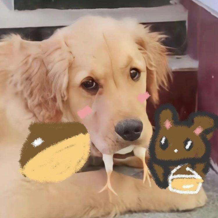 偷板栗的熊熊