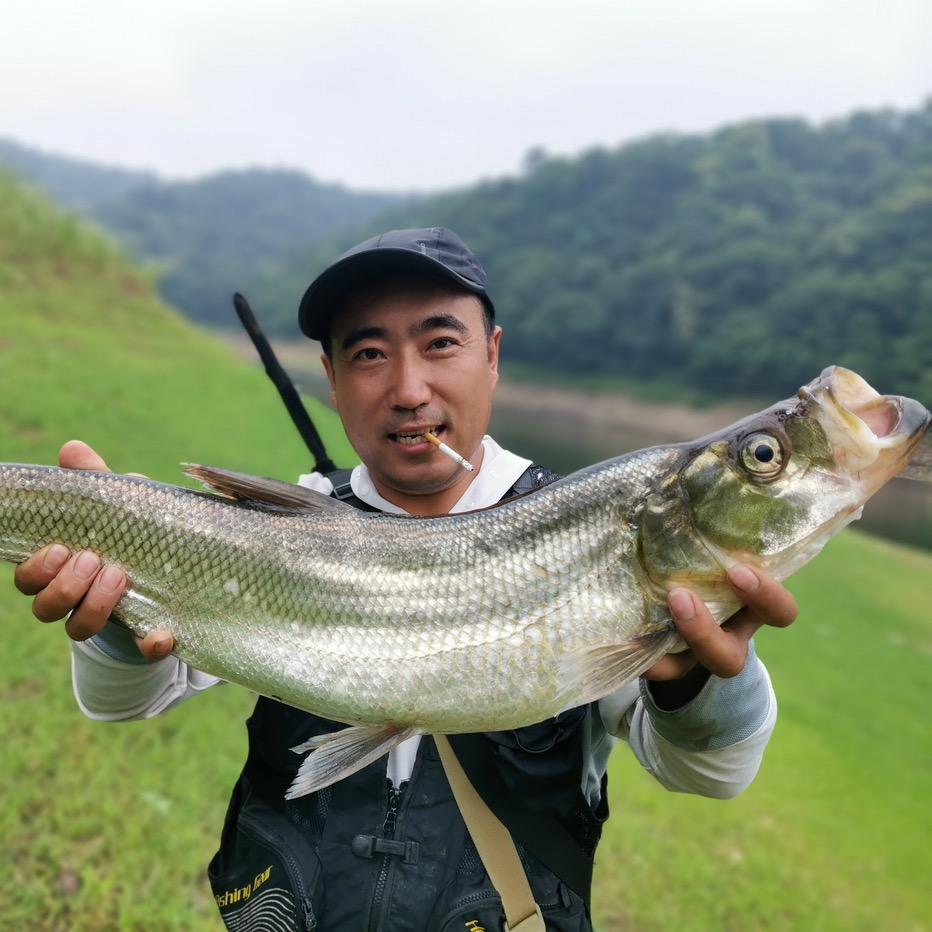骑着大鱼去钓驴