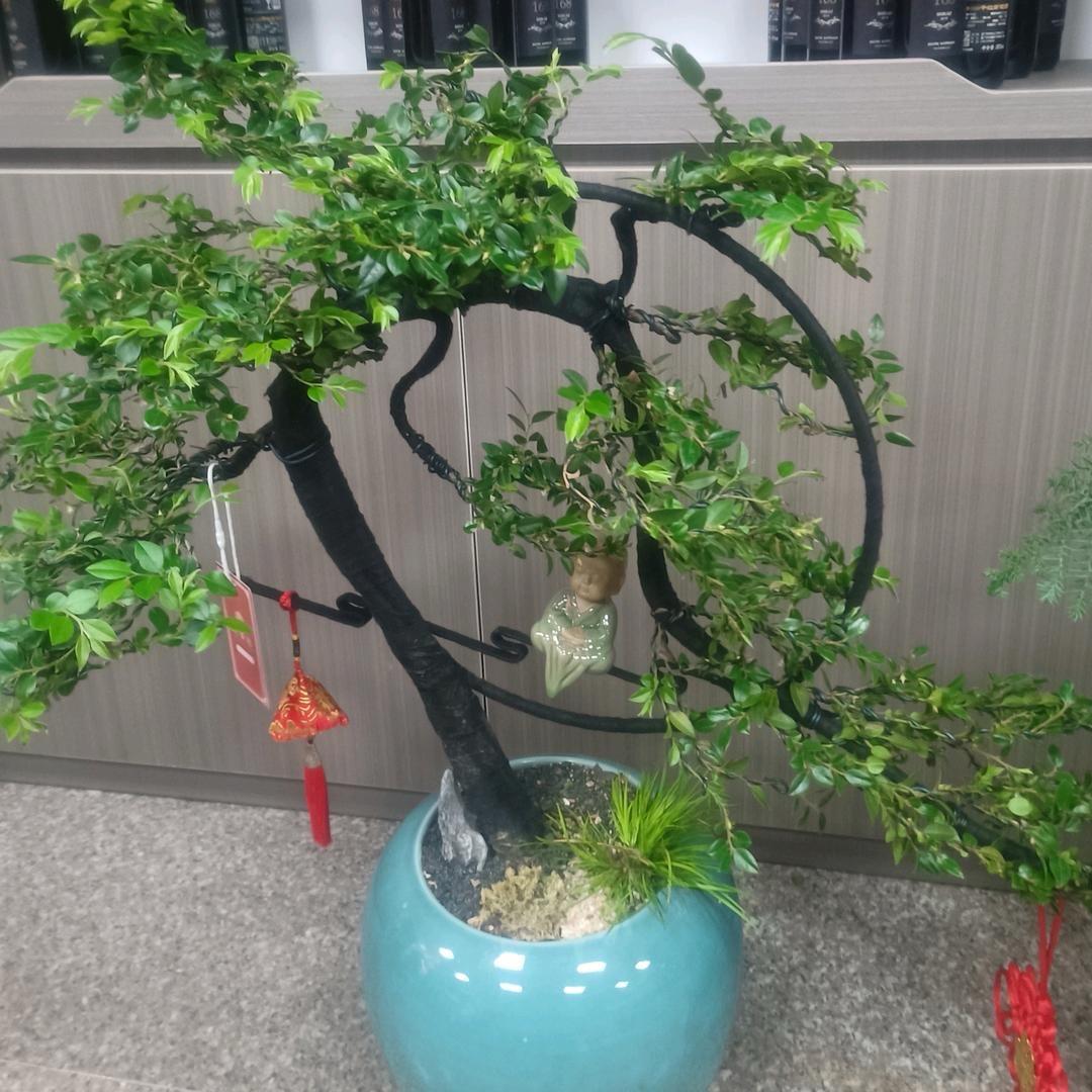 人生苦短，必须性感！