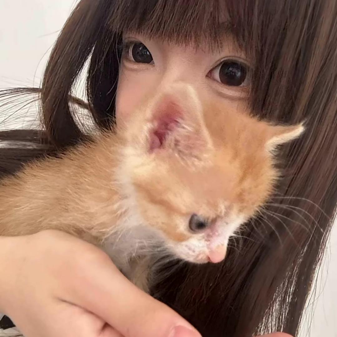 小7