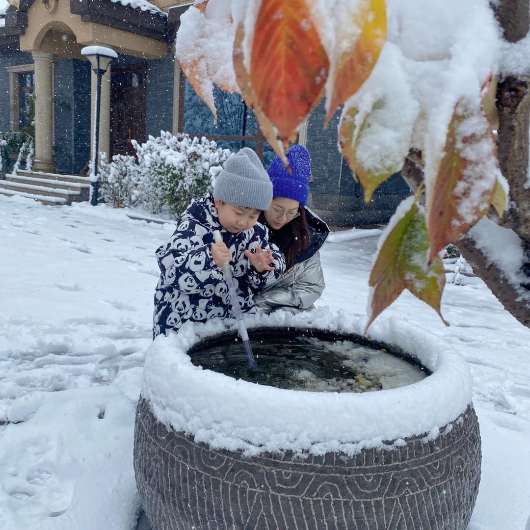 拜托了芝士🧀️