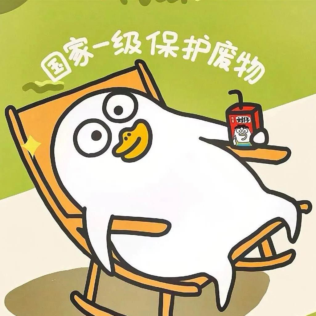 骑小猪🐷