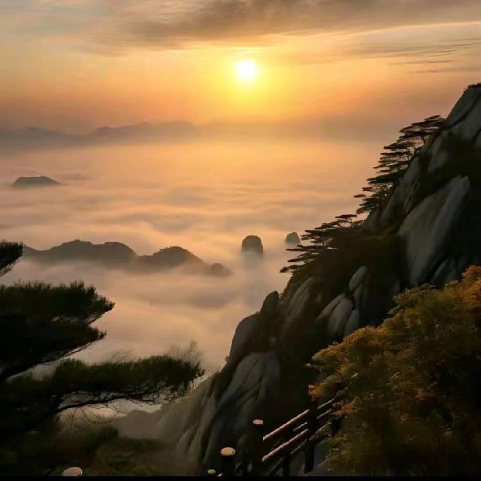 韩正宇