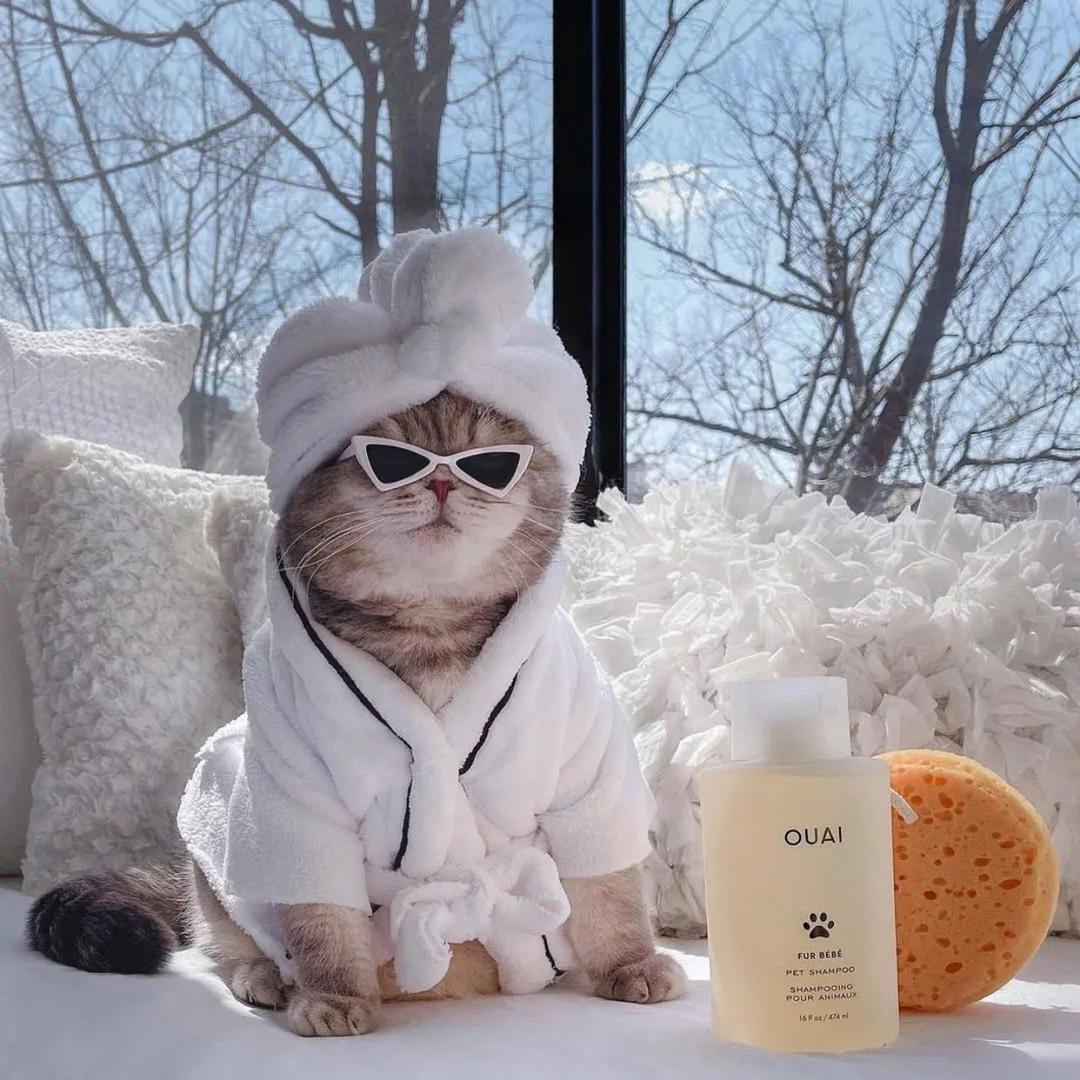 武功山云隐山居