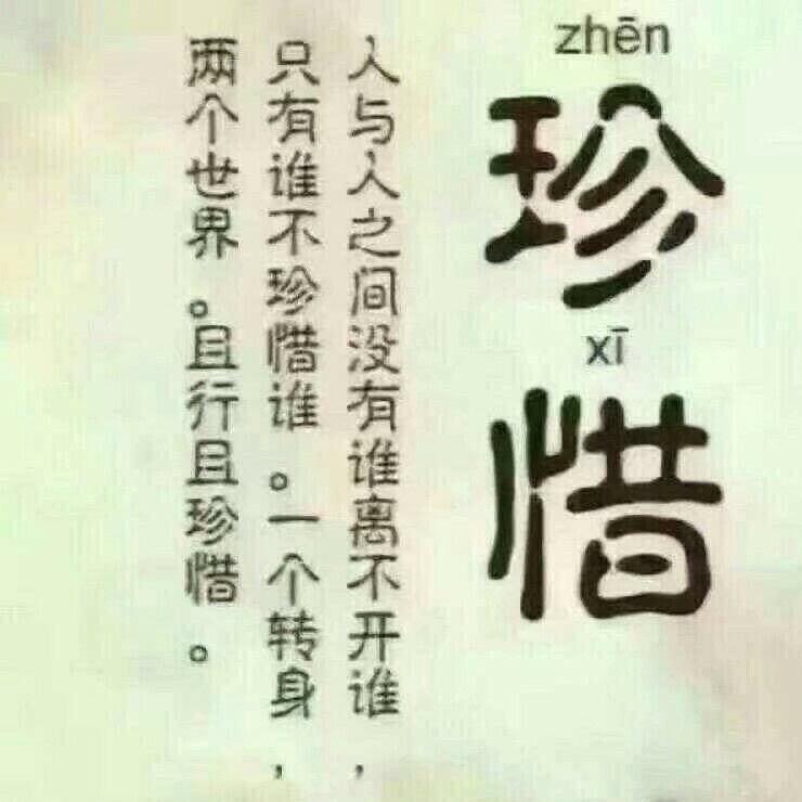 网缘