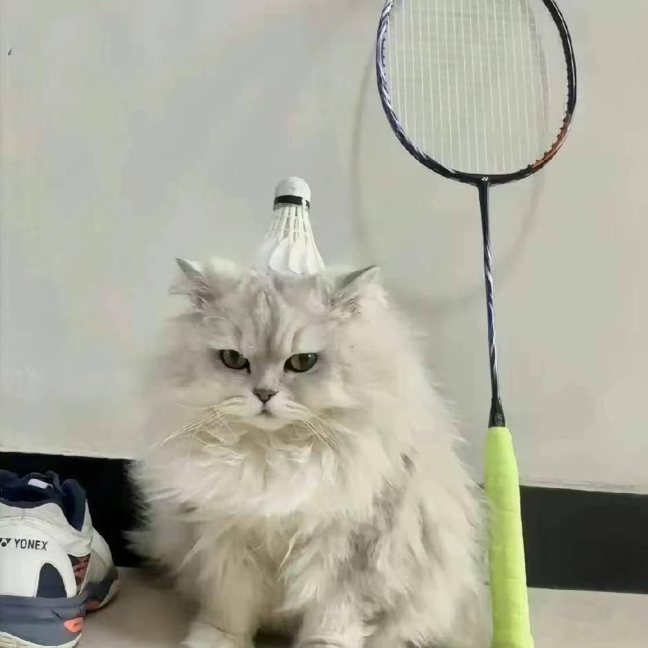 老黑体育🏸（羽毛球装备）