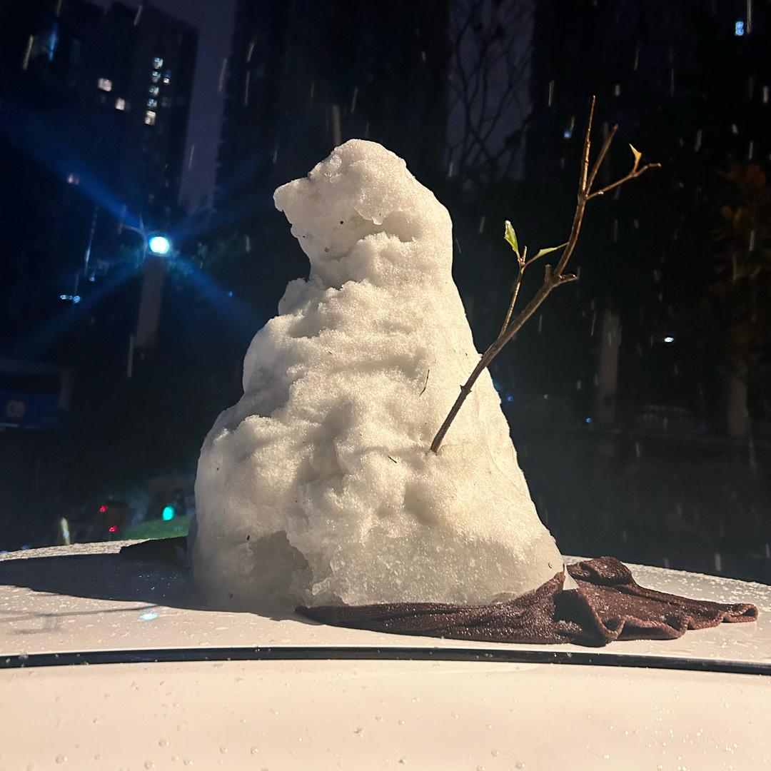 不吃胡萝卜的兔子