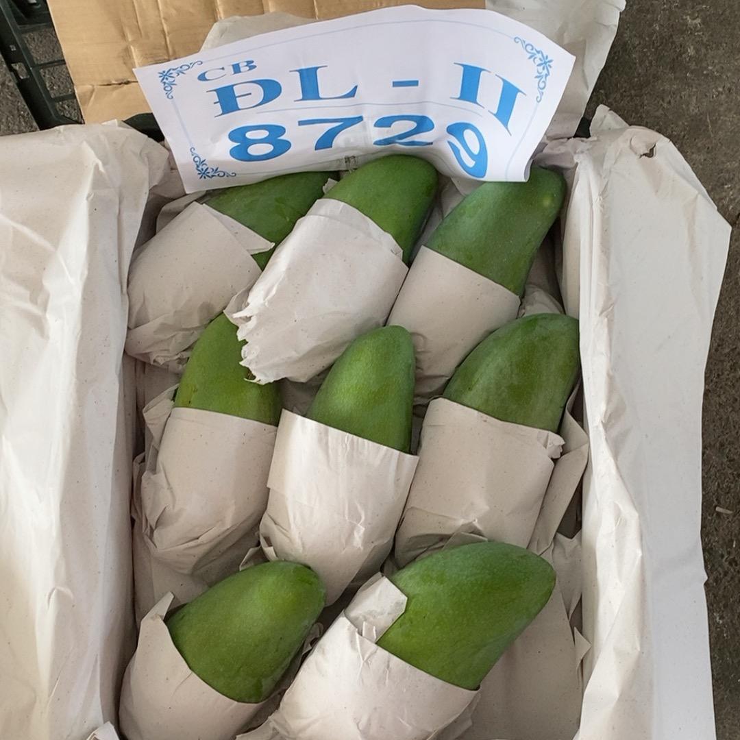 冰鑫越南芒果代办（闲聊勿扰）