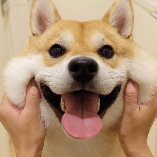 ….