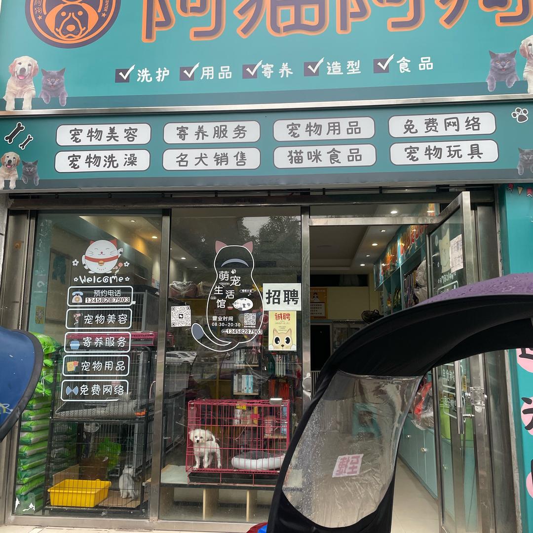 啊猫啊狗店海英