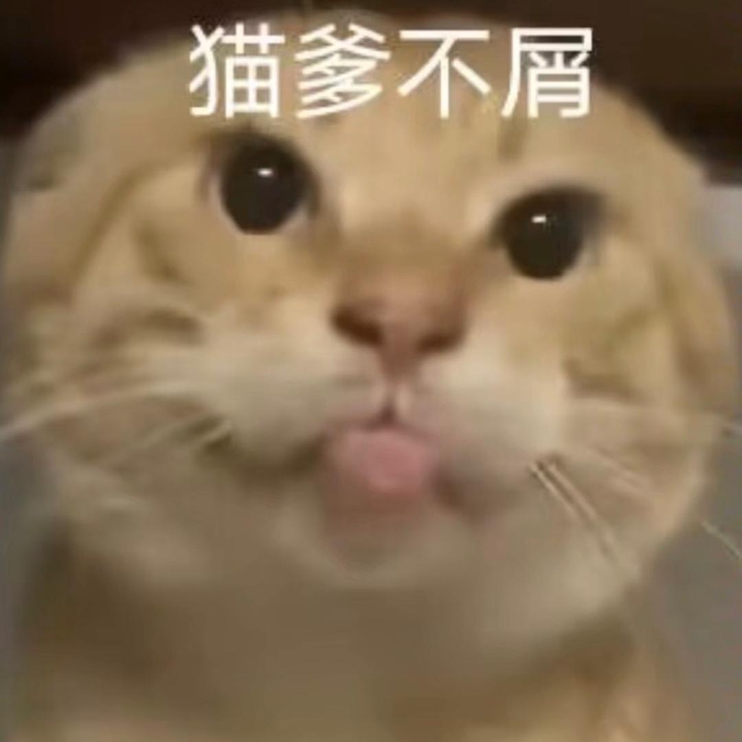 cdgkbgj