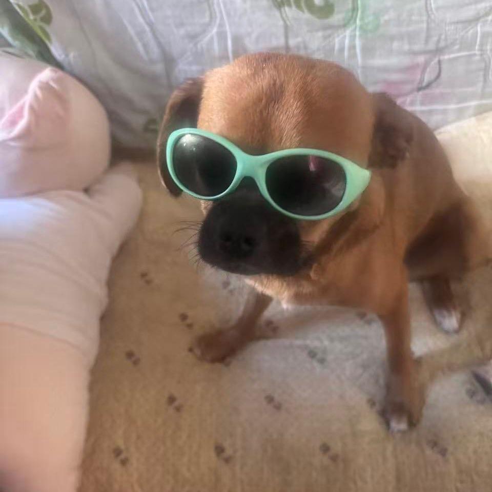 imyy